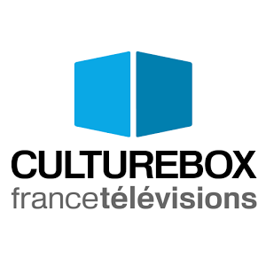 Culturebox: Jean-Michel Jarre donnera un concert en Israël pour aider à sauver la mer Morte